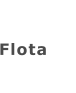 Flota